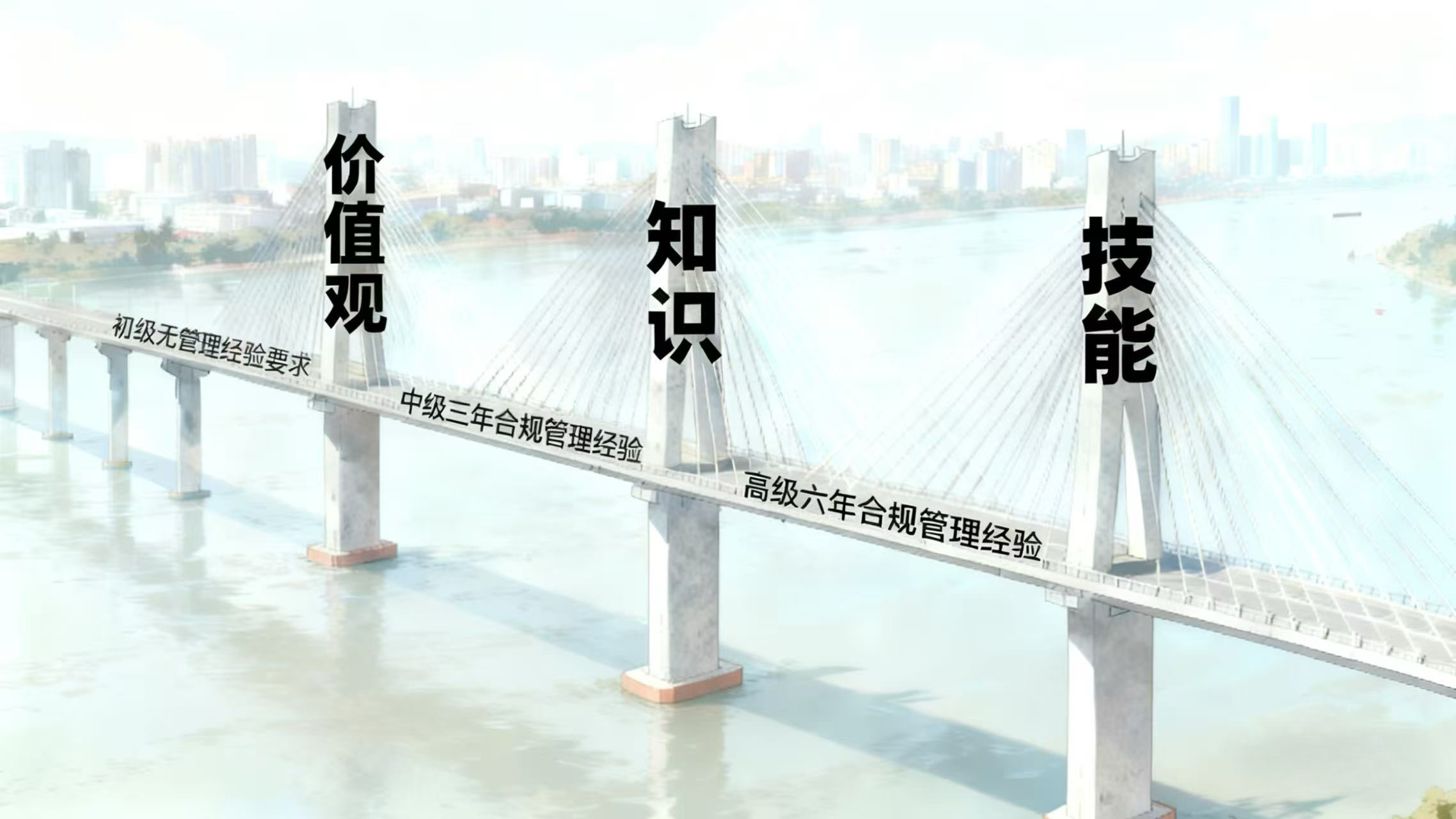 南浦大桥合规示意图.png
